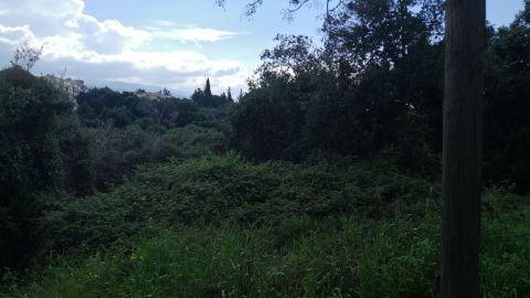 Land for sale Aamchit